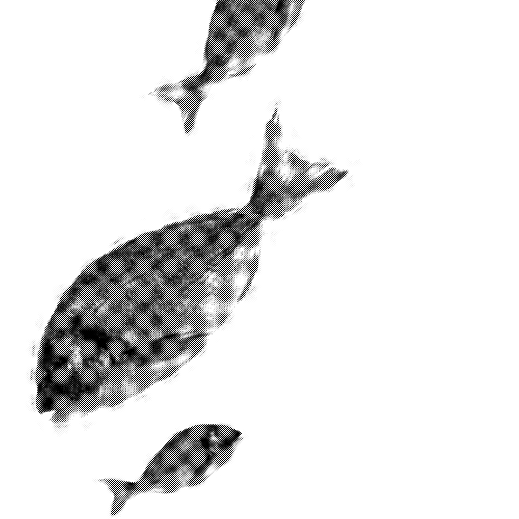 20241028 IWML Header Innovation