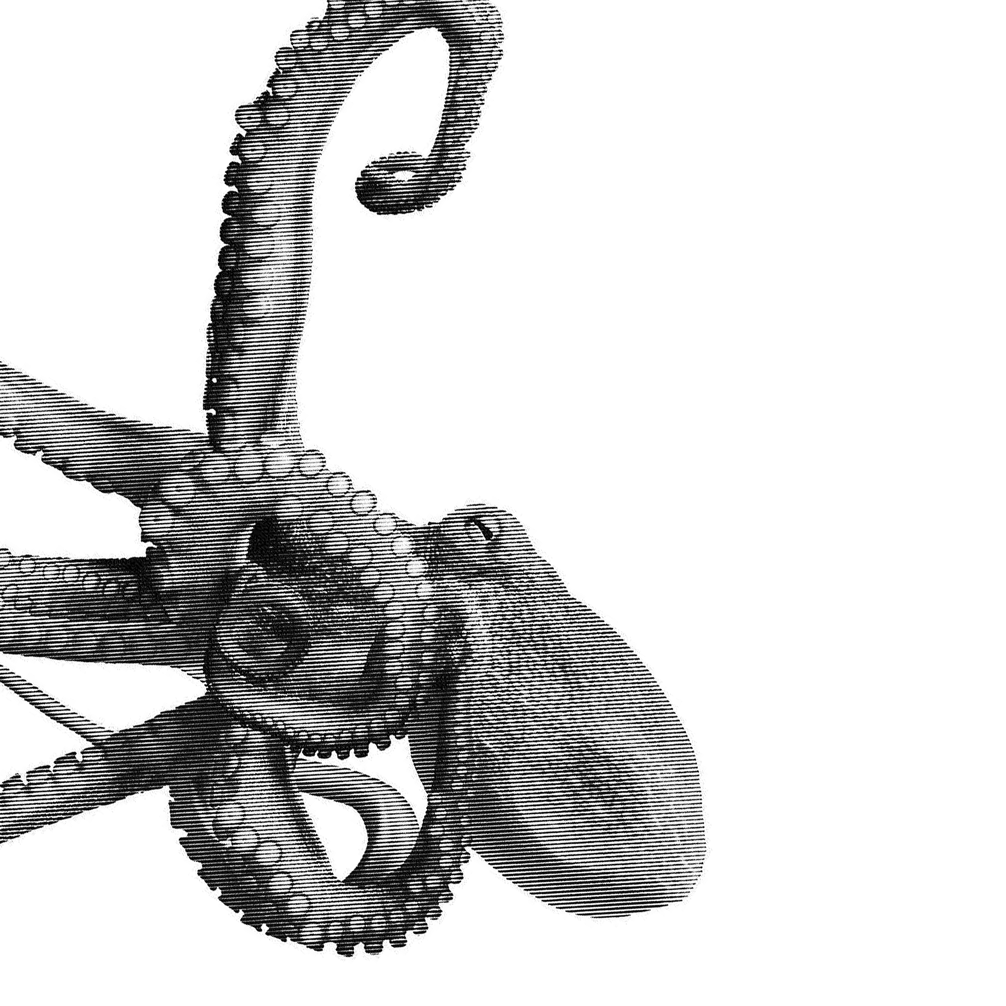 20241028 IWML Header WMS